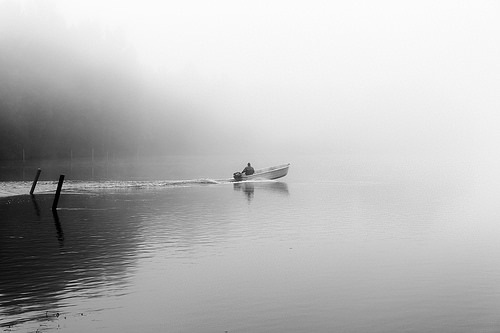 37248647532_8f3ce3b321